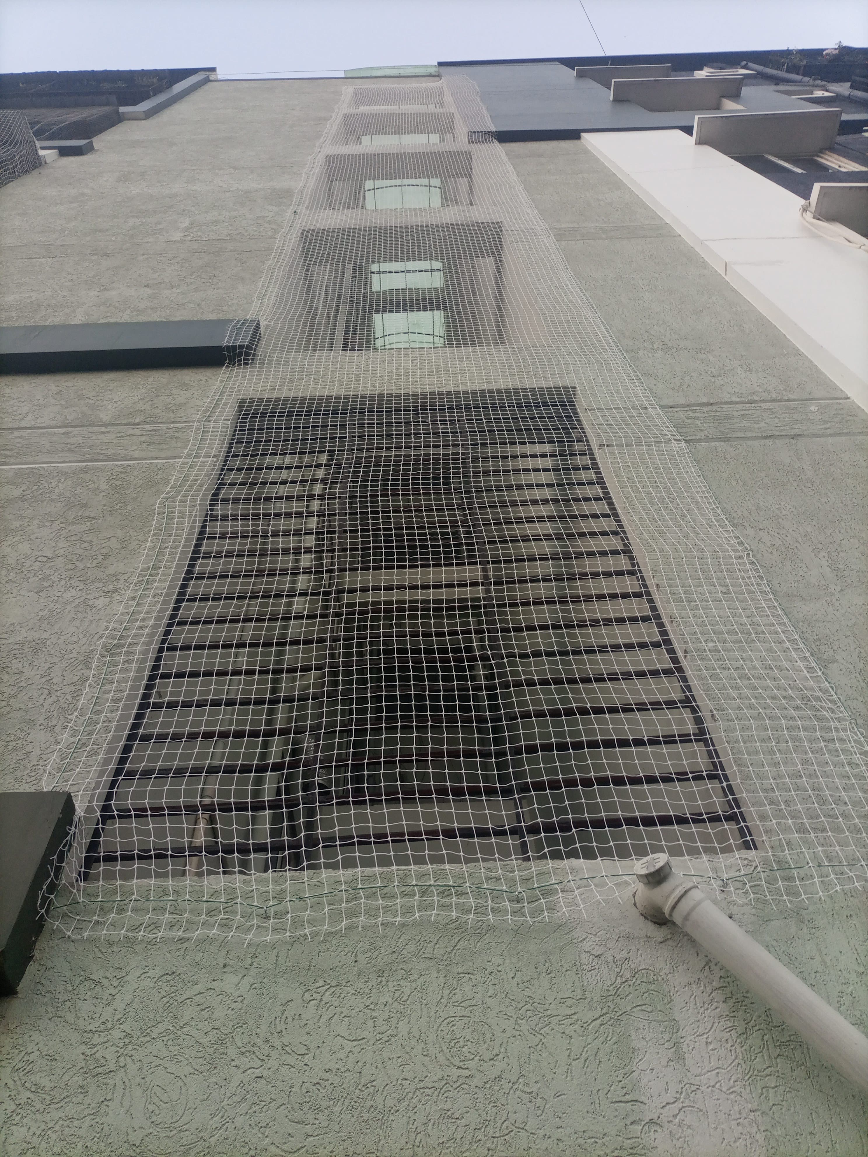 Pigeon Net Installation